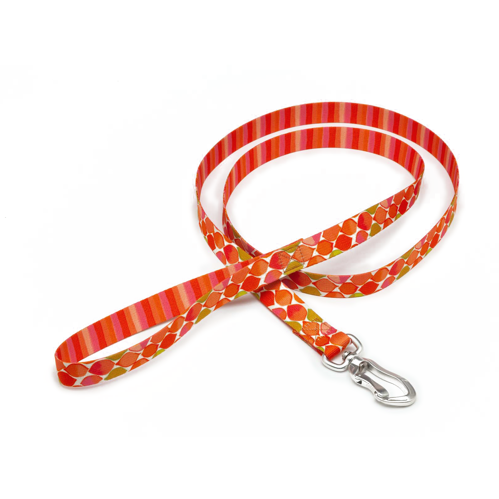 Colorful dog deals collars and leashes